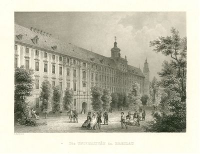 Die Universität in Breslau (Stahlstich)